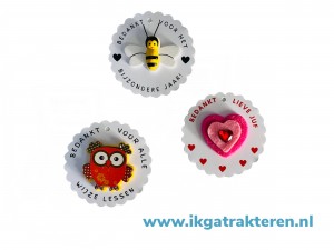 Cadeaukaartje Juf met Decoratie plakker 