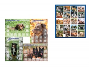 4x beloningskaart honden + stickervel 