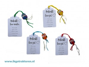 Cadeaulabel Uil met gelukspoppetje Juf / Meester