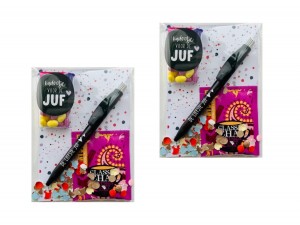   Pen / thee juf cadeautje paars