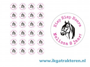 Paard Traktatie Stickers met tekst 24 op vel