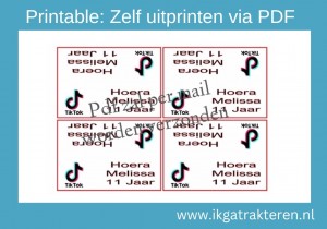 Printable Snoepzak label tiktok