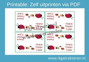 Printable Snoepzak Label Lieveheersbeestje 