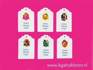 Paw Patrol Kaartje / Label 6,8 cm met tekst