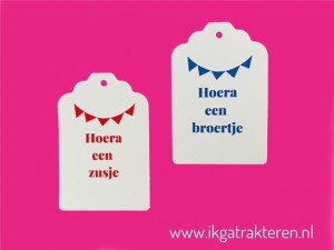 Hoera een Broertje / Zusje Label / Kaartje 6,8 cm