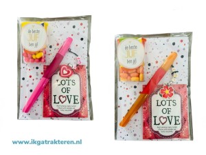   Juffen Cadeautje Pen / Thee