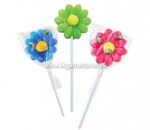 Snoep: Bloem Lolly