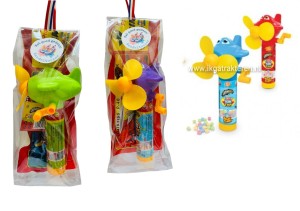   Vliegtuig Vierdaagse Cadeautje