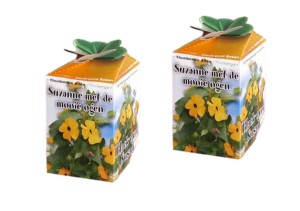 Doosje Suzanne met de mooie ogen