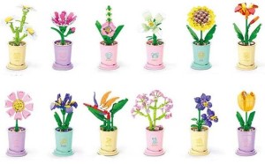   Bouwblokjes Bloem