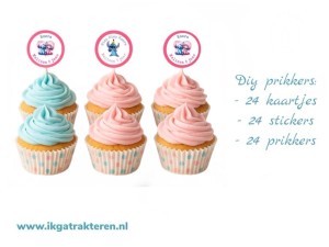 Prikkers Stitch DIY 24 stuks