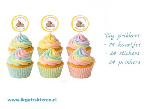 Prikkers Capybara DIY 24 stuks