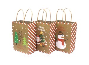 Giftbag Kerst 18x13x8 cm