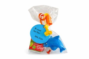 Dolfijn Waterpistool Afscheid Traktatie