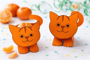 Dikkie Dik Mandarijn Traktatie