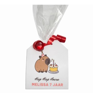 Cadeauzakje Capibara met Persoonlijke tekst