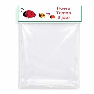 Lieveheersbeestje Traktatie zakje met label met tekst
