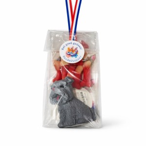 Hond Vierdaagse Cadeautje
