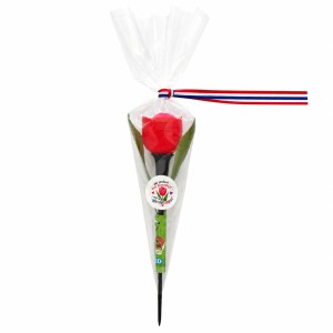      Vierdaagse Solar Tulp Cadeautje – Wandeltopper om te Hangen