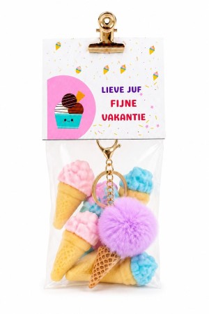 Fijne Vakantie IJsje Cadeautje
