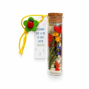 Bedankt dat je me zo hebt laten groeien - Glazen buisje met veldbloemenmix en lieveheersbeestje