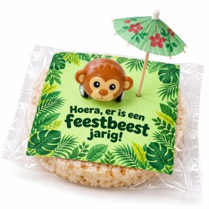 Jungle rijstwafel traktatie – DIY-set Feestbeest