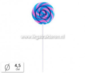 Snoep: Lolly Rond Bubblegum Groot